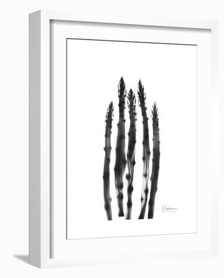 Asparagus-Albert Koetsier-Framed Premium Giclee Print