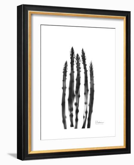 Asparagus-Albert Koetsier-Framed Premium Giclee Print