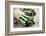 Asparagus-Molka-Framed Photographic Print