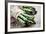 Asparagus-Molka-Framed Photographic Print