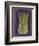 Asparagus-Jennifer Goldberger-Framed Premium Giclee Print