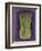 Asparagus-Jennifer Goldberger-Framed Art Print