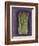 Asparagus-Jennifer Goldberger-Framed Art Print