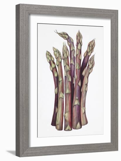 Asparagus-Deborah Kopka-Framed Giclee Print