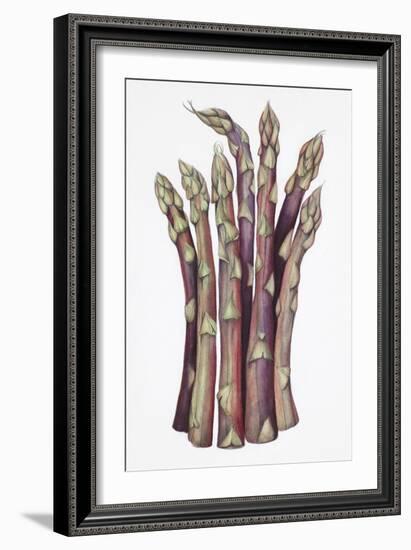 Asparagus-Deborah Kopka-Framed Giclee Print