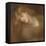 Aspecta Medusa, 1867-Dante Gabriel Rossetti-Framed Premier Image Canvas