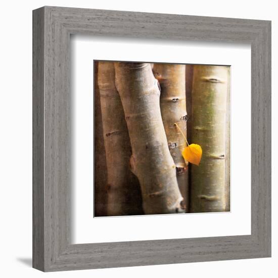 Aspen 1-Glen and Gayle Wans-Framed Giclee Print