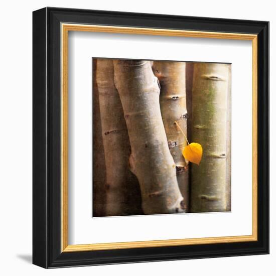 Aspen 1-Glen and Gayle Wans-Framed Giclee Print