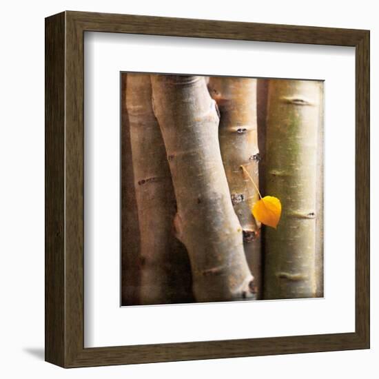 Aspen 1-Glen and Gayle Wans-Framed Giclee Print