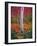 Aspen 1-Robert Hansen-Framed Giclee Print