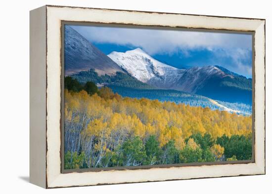 Aspen and Snow-Capped Peaks, La Sal Mountains, Utah-Tom Till-Framed Premier Image Canvas