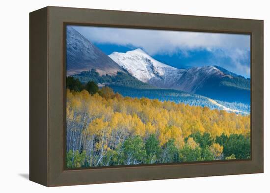 Aspen and Snow-Capped Peaks, La Sal Mountains, Utah-Tom Till-Framed Premier Image Canvas