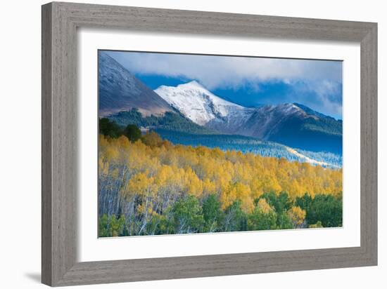 Aspen and Snow-Capped Peaks, La Sal Mountains, Utah-Tom Till-Framed Photographic Print