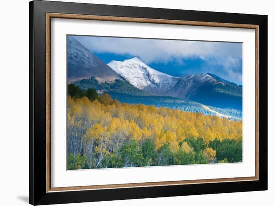 Aspen and Snow-Capped Peaks, La Sal Mountains, Utah-Tom Till-Framed Photographic Print