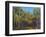 Aspen Autumn-Thomas Stotts-Framed Art Print