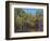 Aspen Autumn-Thomas Stotts-Framed Art Print