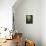Aspen Beauty-Egidio Antonaccio-Framed Stretched Canvas displayed on a wall