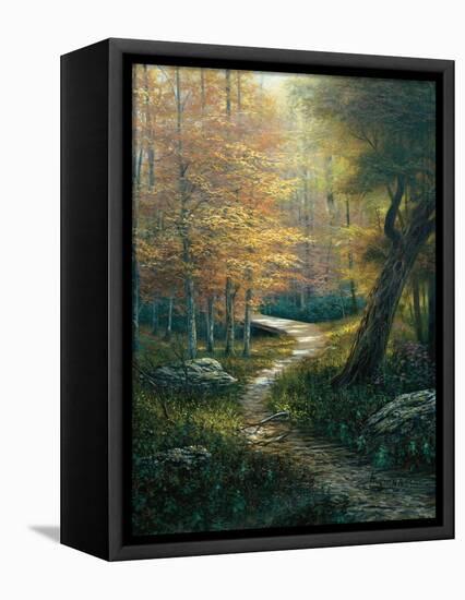 Aspen Beauty-Egidio Antonaccio-Framed Stretched Canvas