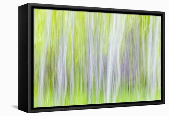 Aspen Blur I-Kathy Mahan-Framed Premier Image Canvas