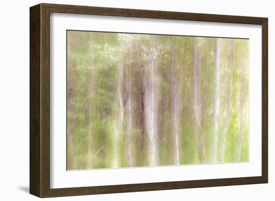 Aspen Blur III-Kathy Mahan-Framed Photographic Print