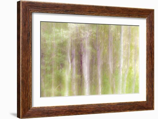 Aspen Blur III-Kathy Mahan-Framed Photographic Print