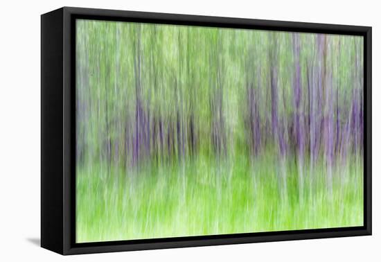 Aspen Blur IV-Kathy Mahan-Framed Premier Image Canvas