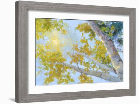 Aspen Canopy-Nanette Oleson-Framed Art Print