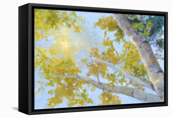 Aspen Canopy-Nanette Oleson-Framed Stretched Canvas