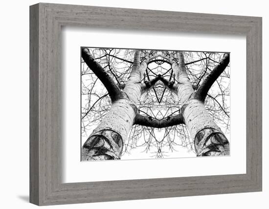 Aspen Cathedral-James K. Papp-Framed Photographic Print