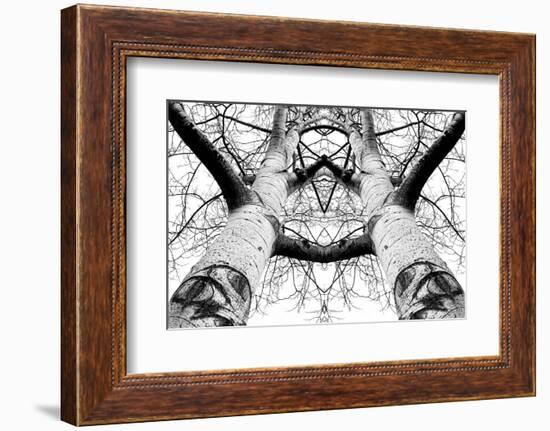 Aspen Cathedral-James K. Papp-Framed Photographic Print