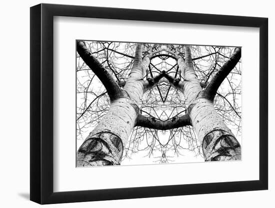 Aspen Cathedral-James K. Papp-Framed Photographic Print