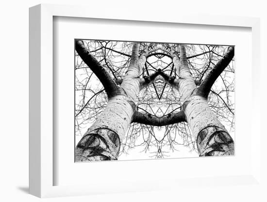 Aspen Cathedral-James K. Papp-Framed Photographic Print