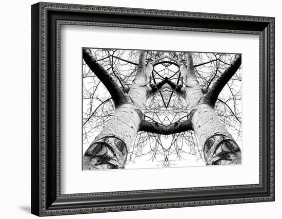 Aspen Cathedral-James K. Papp-Framed Photographic Print