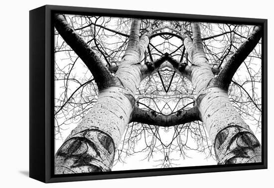 Aspen Cathedral-James K. Papp-Framed Premier Image Canvas