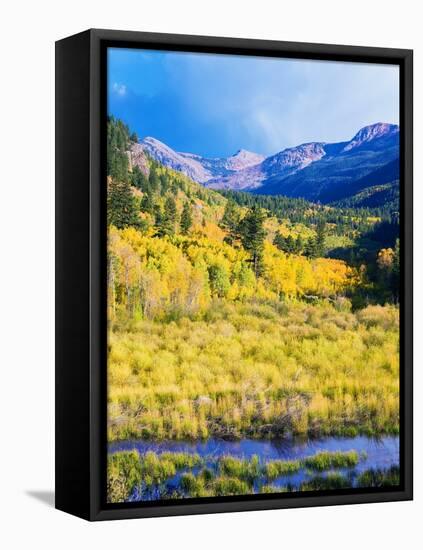 Aspen Colorado Landscape-duallogic-Framed Premier Image Canvas