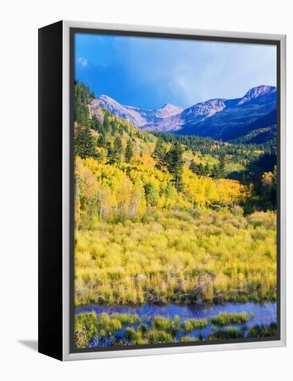 Aspen Colorado Landscape-duallogic-Framed Premier Image Canvas