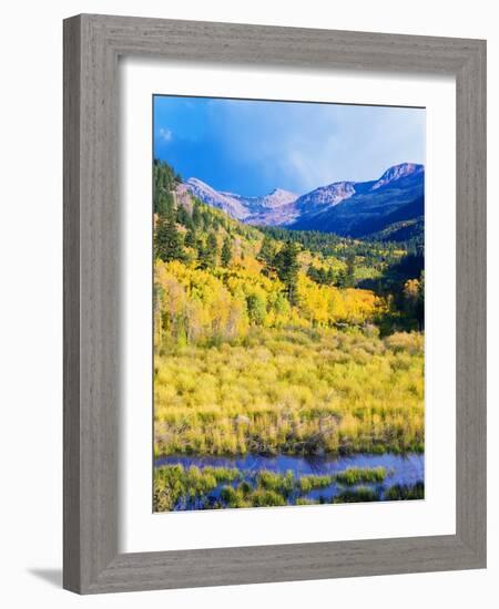 Aspen Colorado Landscape-duallogic-Framed Photographic Print