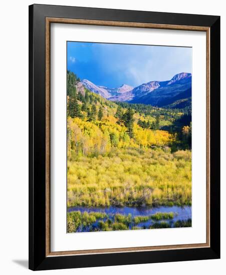 Aspen Colorado Landscape-duallogic-Framed Photographic Print