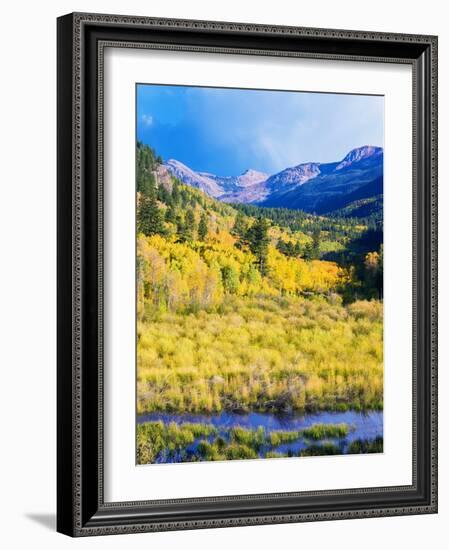 Aspen Colorado Landscape-duallogic-Framed Photographic Print