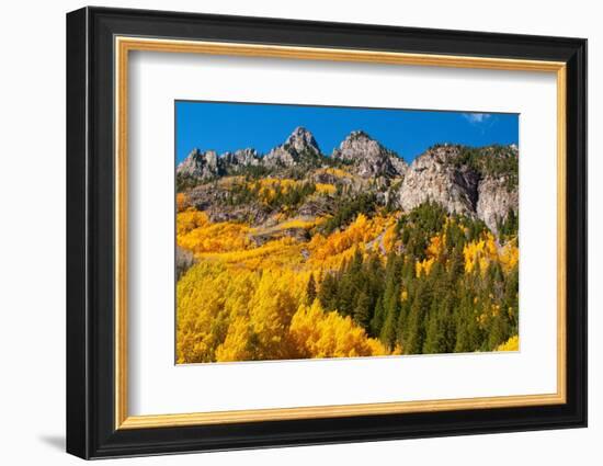 Aspen, Colorado. Maroon Bells-Snowmass Wilderness.-Mallorie Ostrowitz-Framed Photographic Print