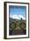 Aspen, Colorado - Ride the Trails, Mountain Bike-Lantern Press-Framed Art Print