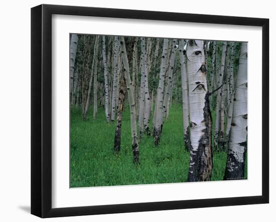 Aspen, Colorado, USA-Jerry Ginsberg-Framed Photographic Print