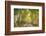 Aspen Drive-Danny Head-Framed Photographic Print