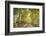 Aspen Drive-Danny Head-Framed Photographic Print