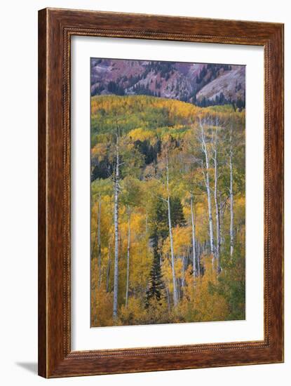 Aspen Escape-Joe Cornish-Framed Giclee Print