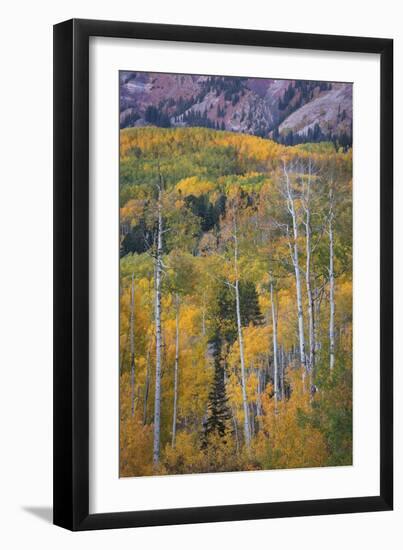 Aspen Escape-Joe Cornish-Framed Giclee Print