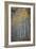 Aspen Fall-Joe Cornish-Framed Giclee Print