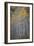 Aspen Fall-Joe Cornish-Framed Giclee Print