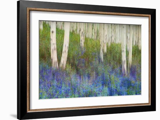 Aspen Forest Floor-Chris Vest-Framed Art Print