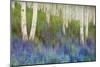 Aspen Forest Floor-Chris Vest-Mounted Art Print